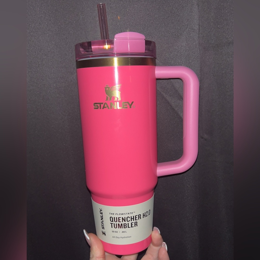 Stanley 30 ounce pink parade quencher